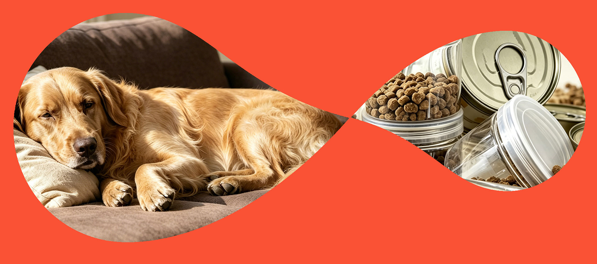 Pioneiro em Nutrição Pet Sustentável