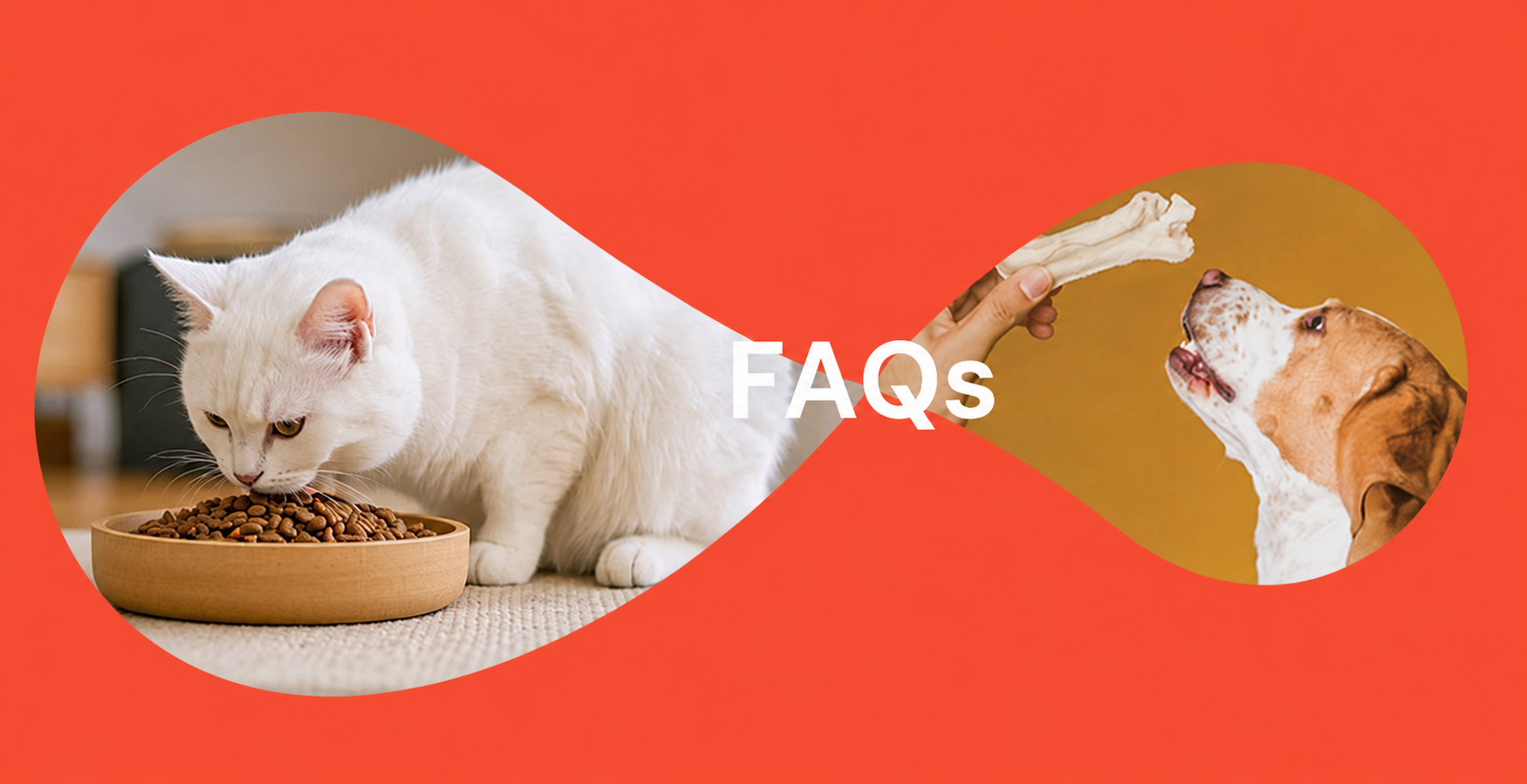 Perguntas Frequentes sobre Alimentos para Animais de Estimação