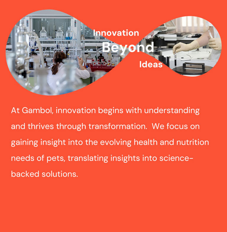 <p>Gambol Pet Food P&D</p>