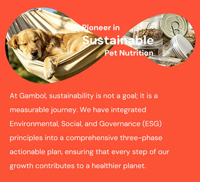 Pioneiro em Nutrição Pet Sustentável