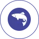 Peixes de águas profundas