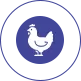 Aves