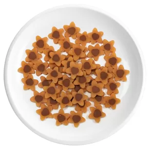 Fatias de Frango em Formato de Estrela